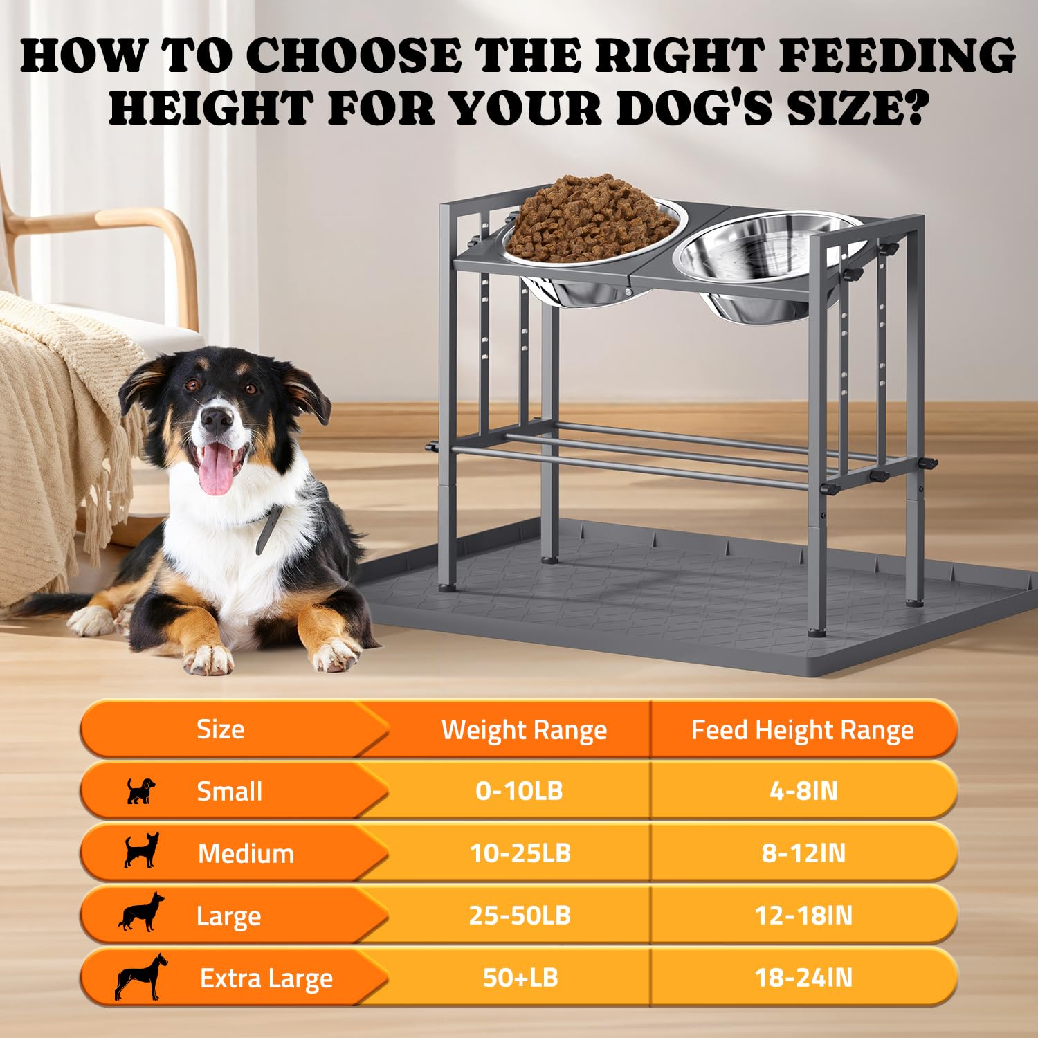 Pawtners adjustable height setup adapts as dogs grow and routines change.