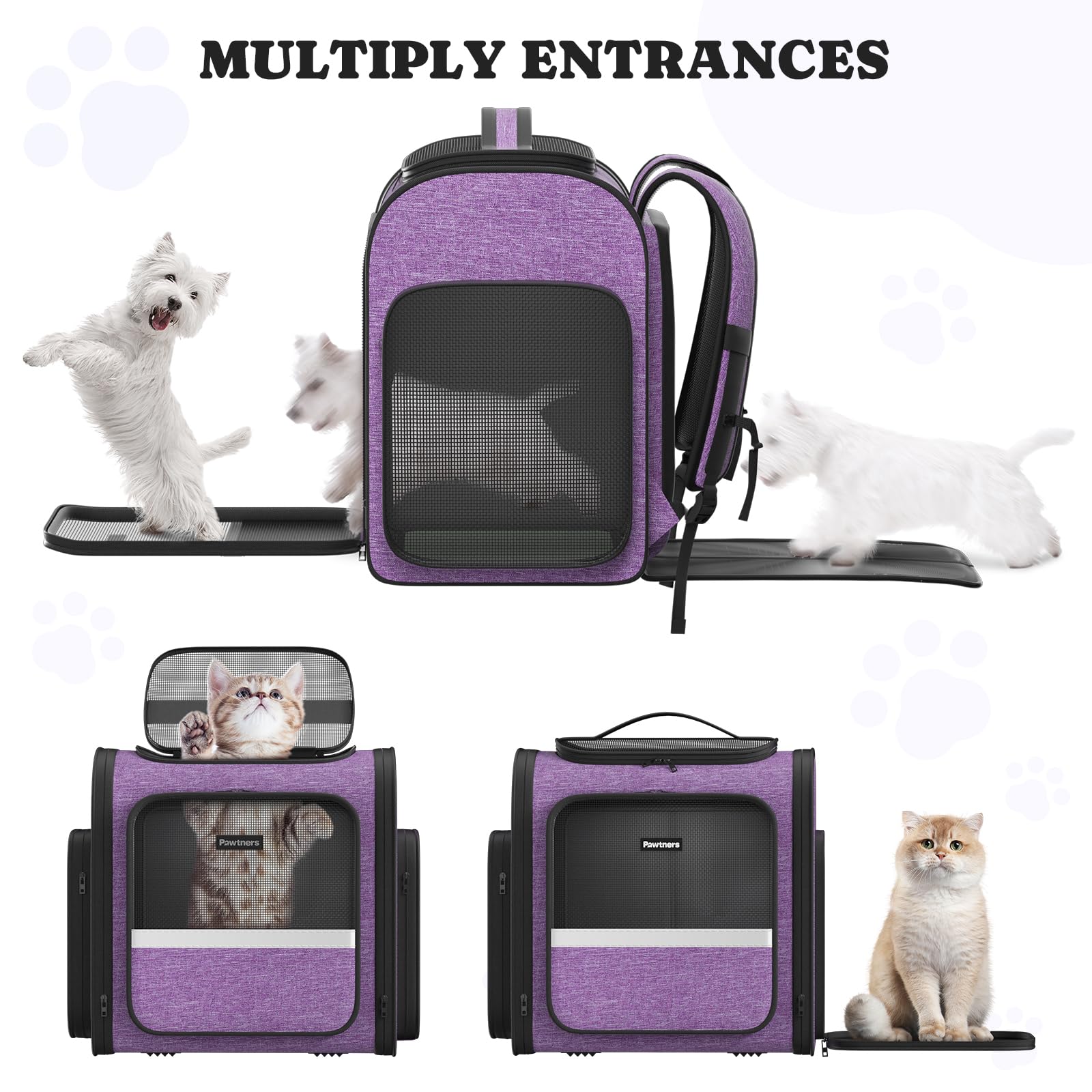 Pawtners entry openings show multiple access points for pets.