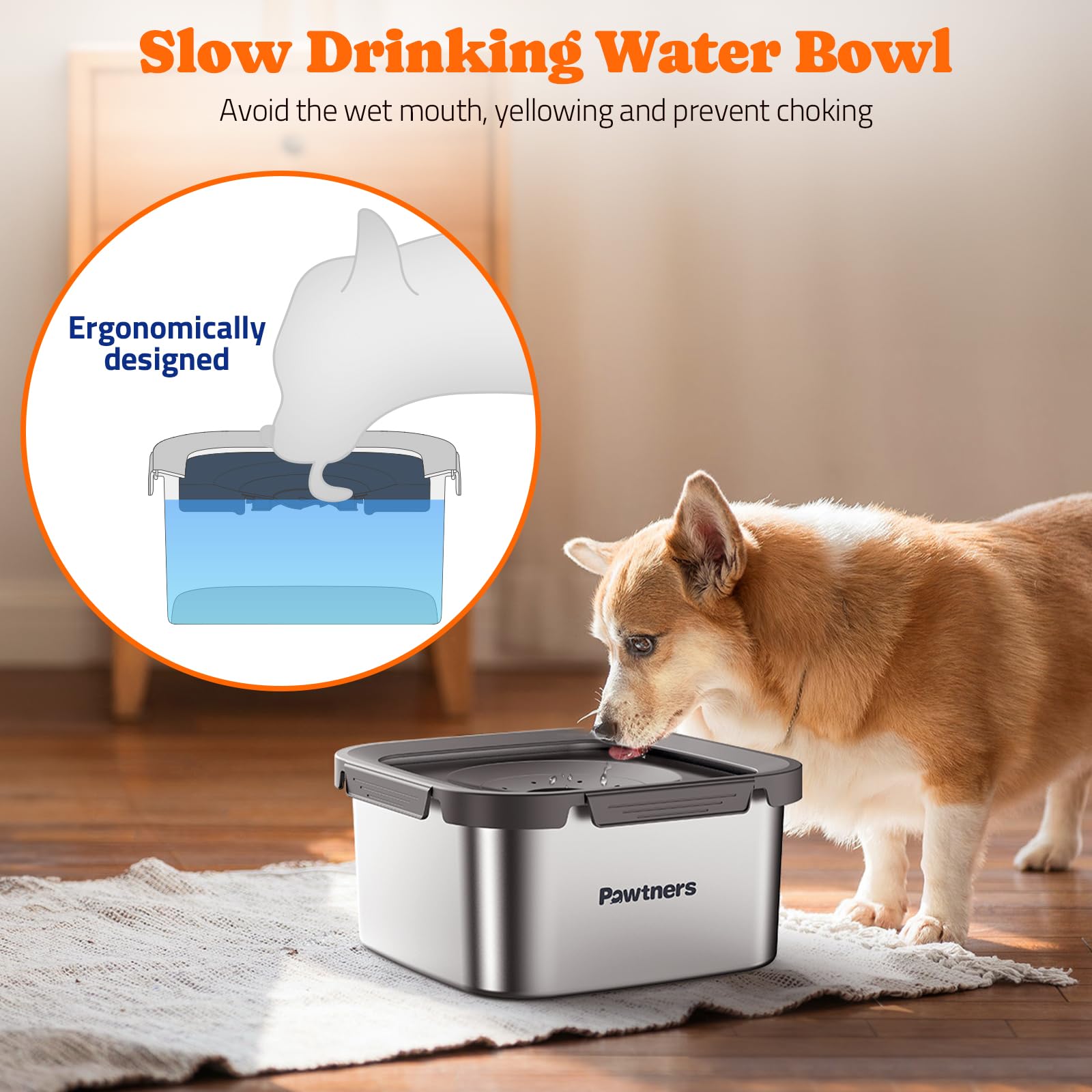 Pawtners floating disk slow-drinking design minimizes splashes during meals.