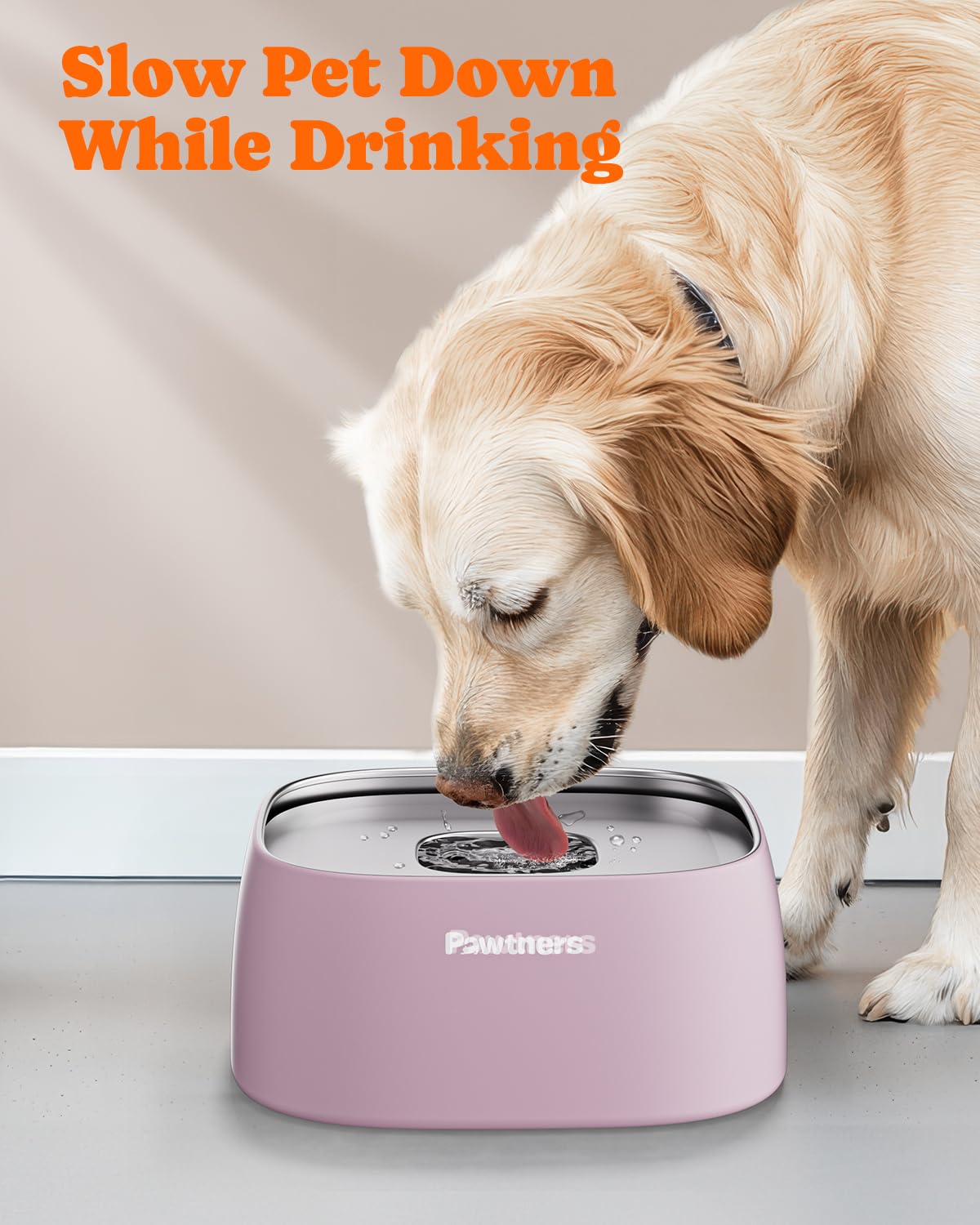 Pawtners non-slip base; stable on any floor during activity.