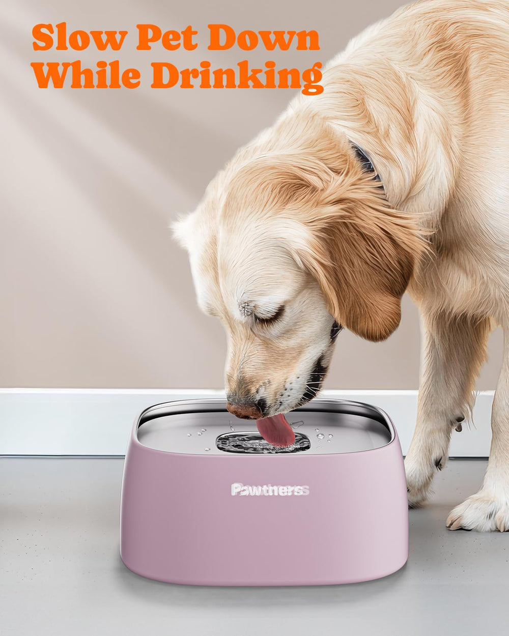 Pawtners non-slip base; stable on any floor during activity.