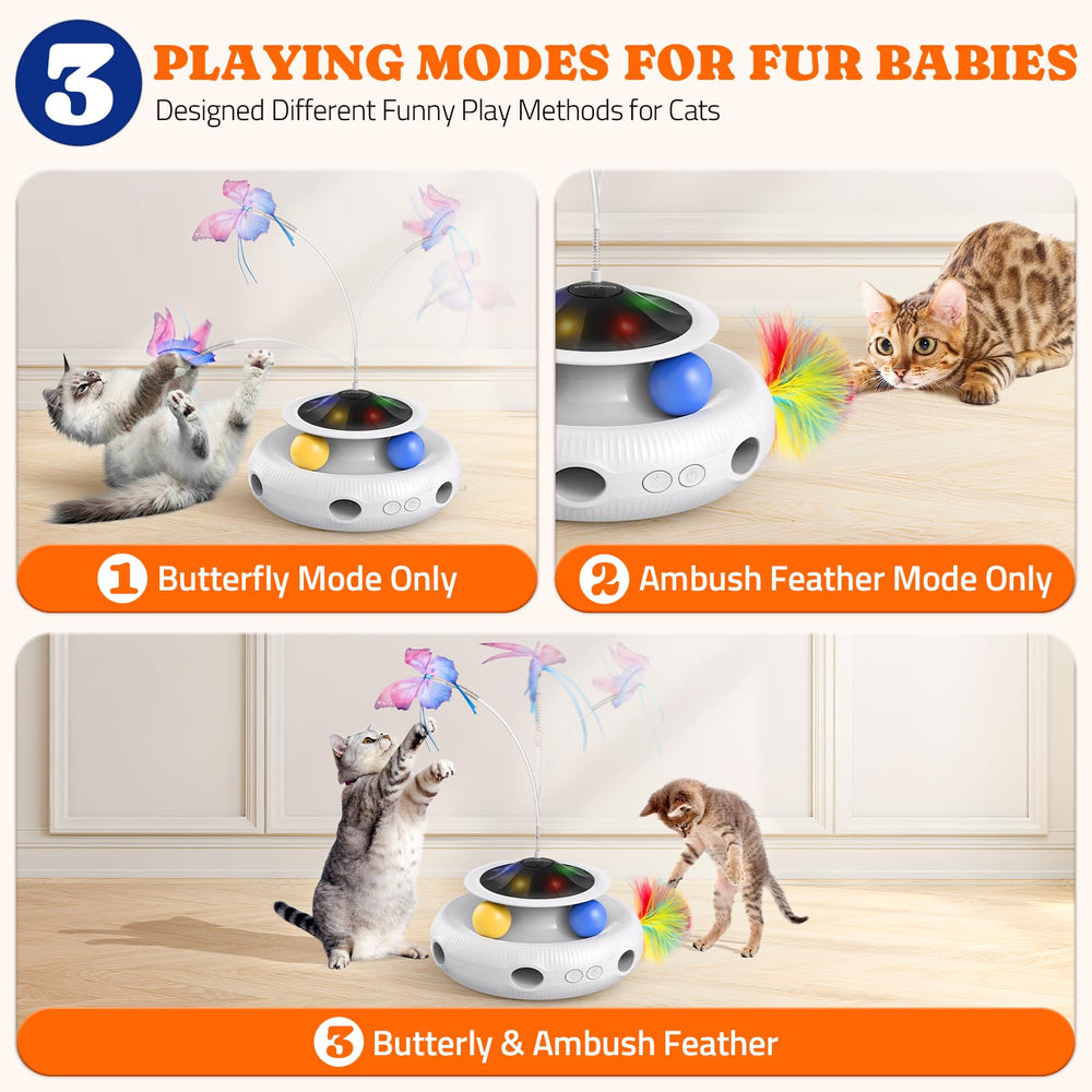 Pawtners safety-certified design offers trusted use for curious cats at home.