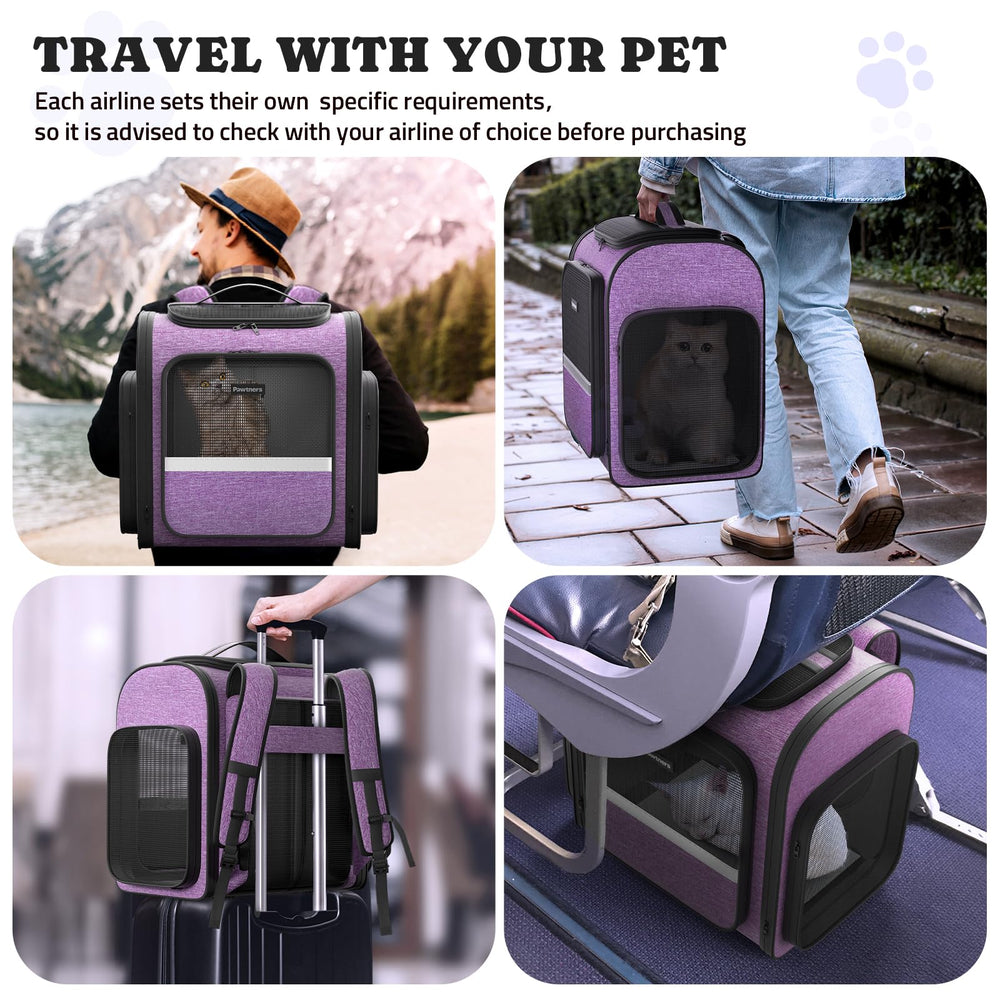 Pawtners safety leash attachment shows secure travel option.