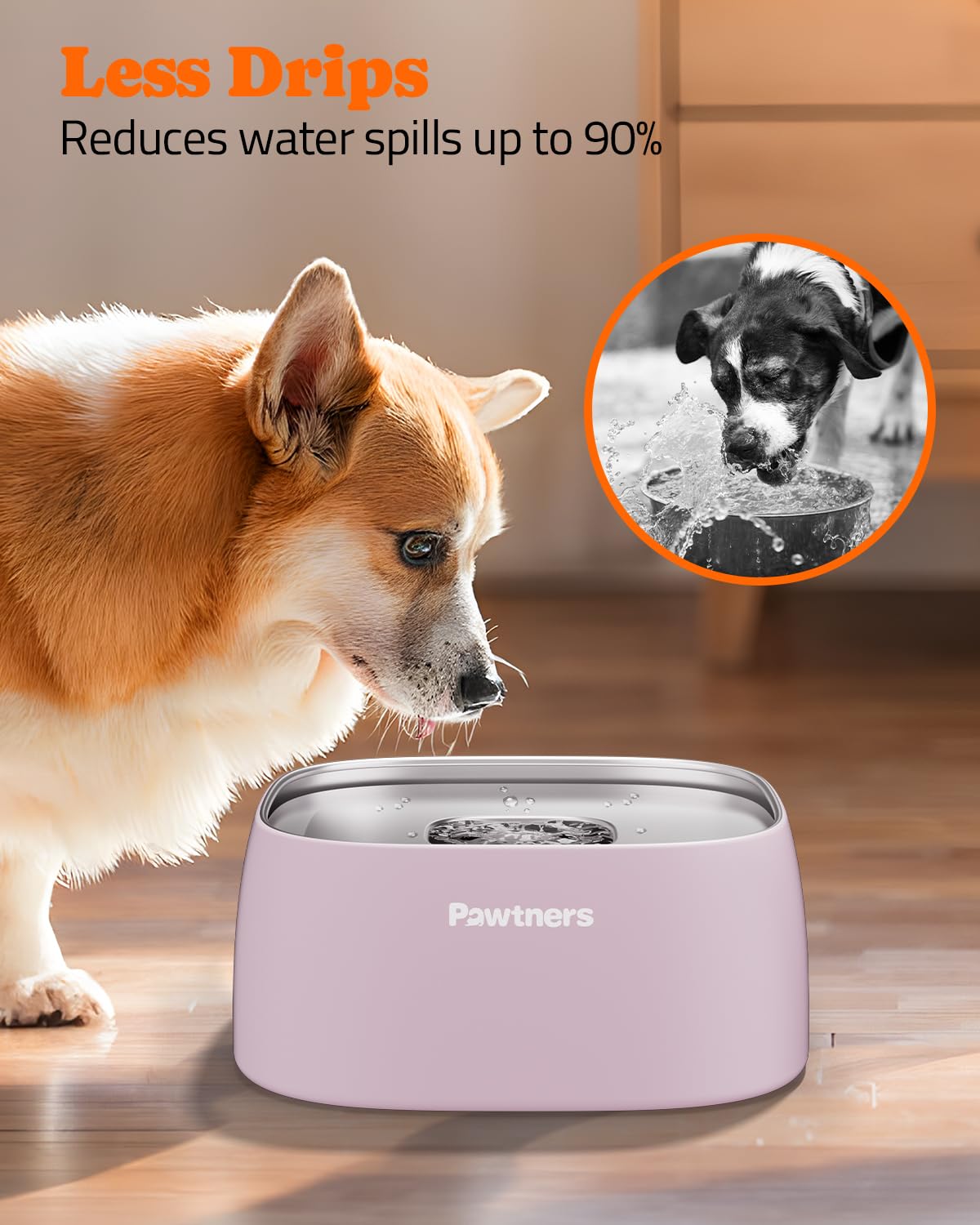 Pawtners slow-drinking-center design; promotes calmer water intake during meals.