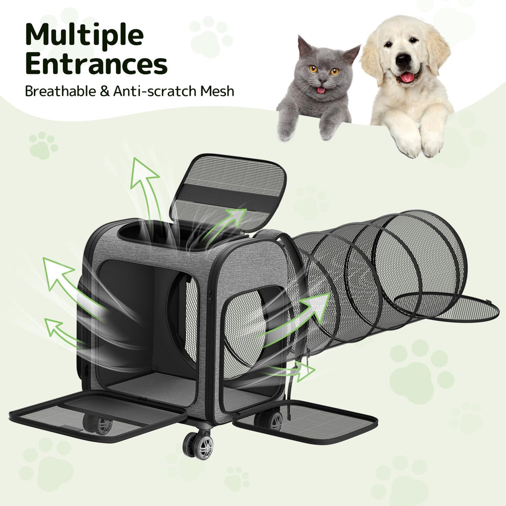 Pawtners Velcro base underneath for versatile setup