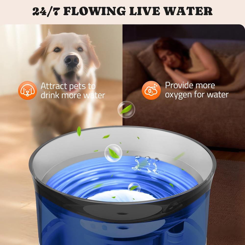 Pawtners easy maintenance cues encourage regular filter replacement and pump cleaning.