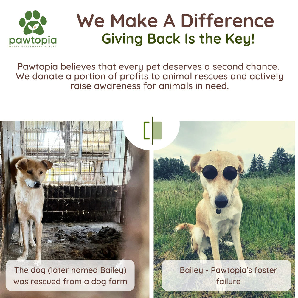 Pawtopia recyclable packaging and cores support zero-waste initiatives.