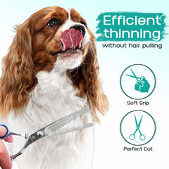 Pawtrim curved scissors closeup for curved-surface grooming