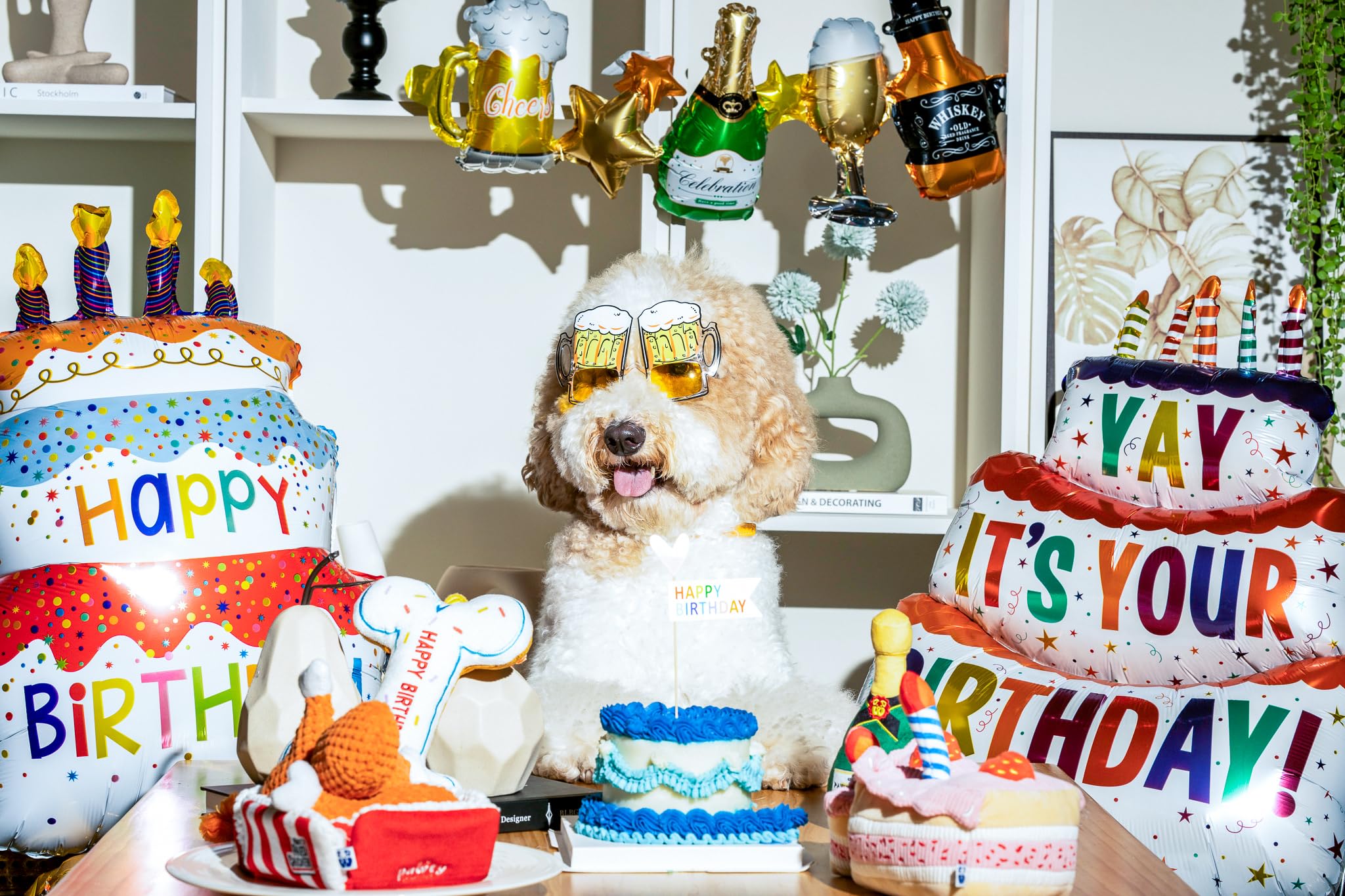 Pawty Birthday Bone toy safe-soft material emphasizes gentle teething comfort