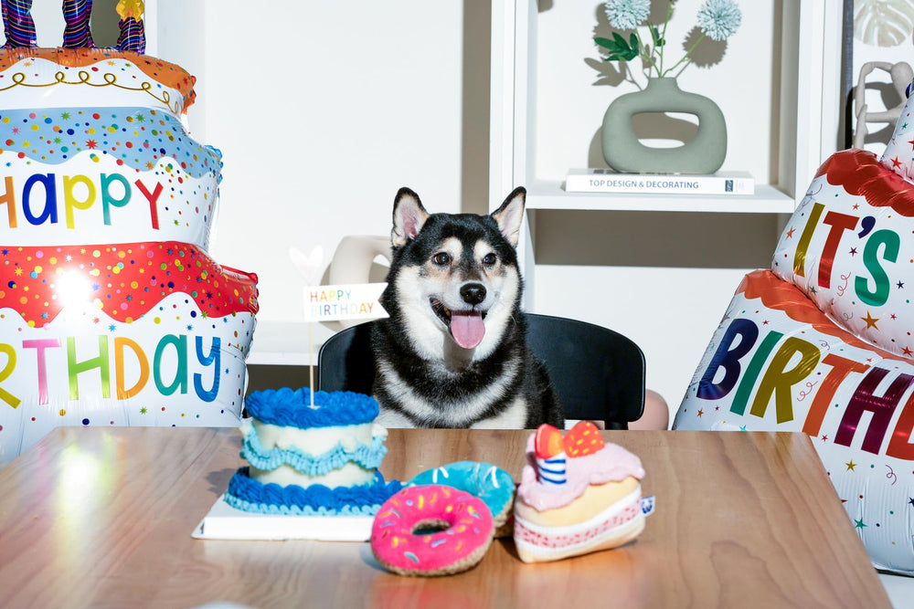 Pawty Birthday Bone toy cute design sparks adorable photo and video moments