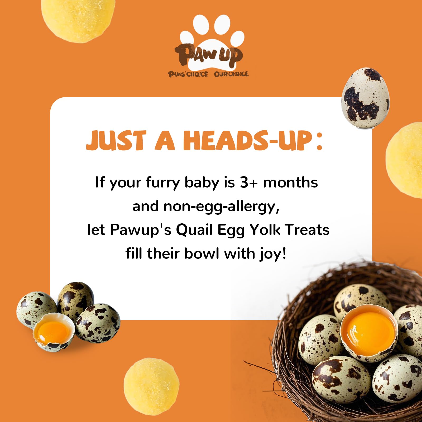 PAWUP cat-friendly treat served on a kitchen counter.