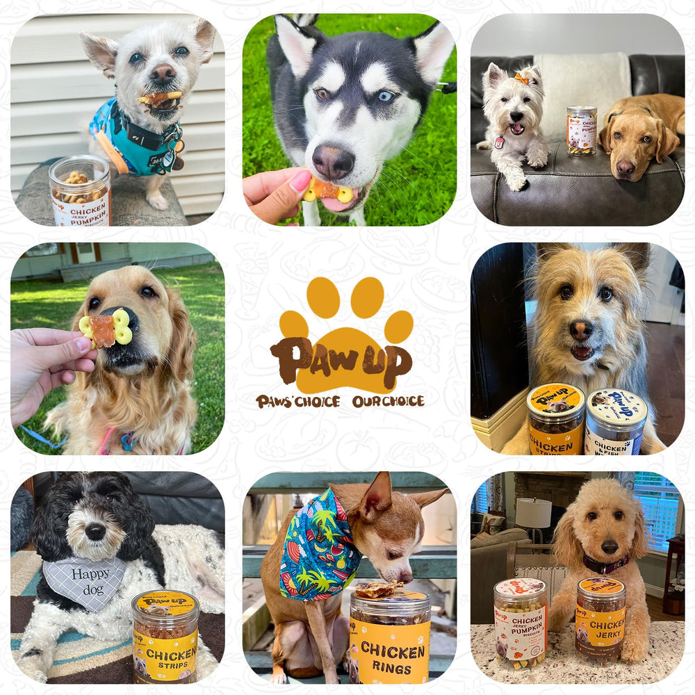 PAWUP display of treats, highlighting gluten-free formula and quality ingredients