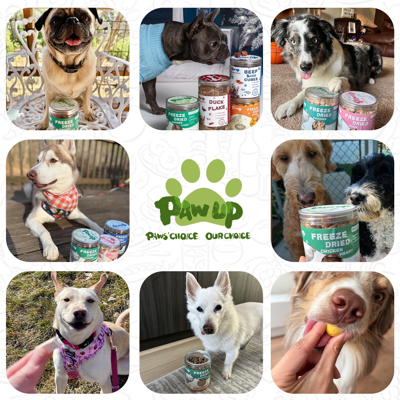 PAWUP Freeze Dried Chicken Neck Treats high-protein content illustrated by nourishing bite.