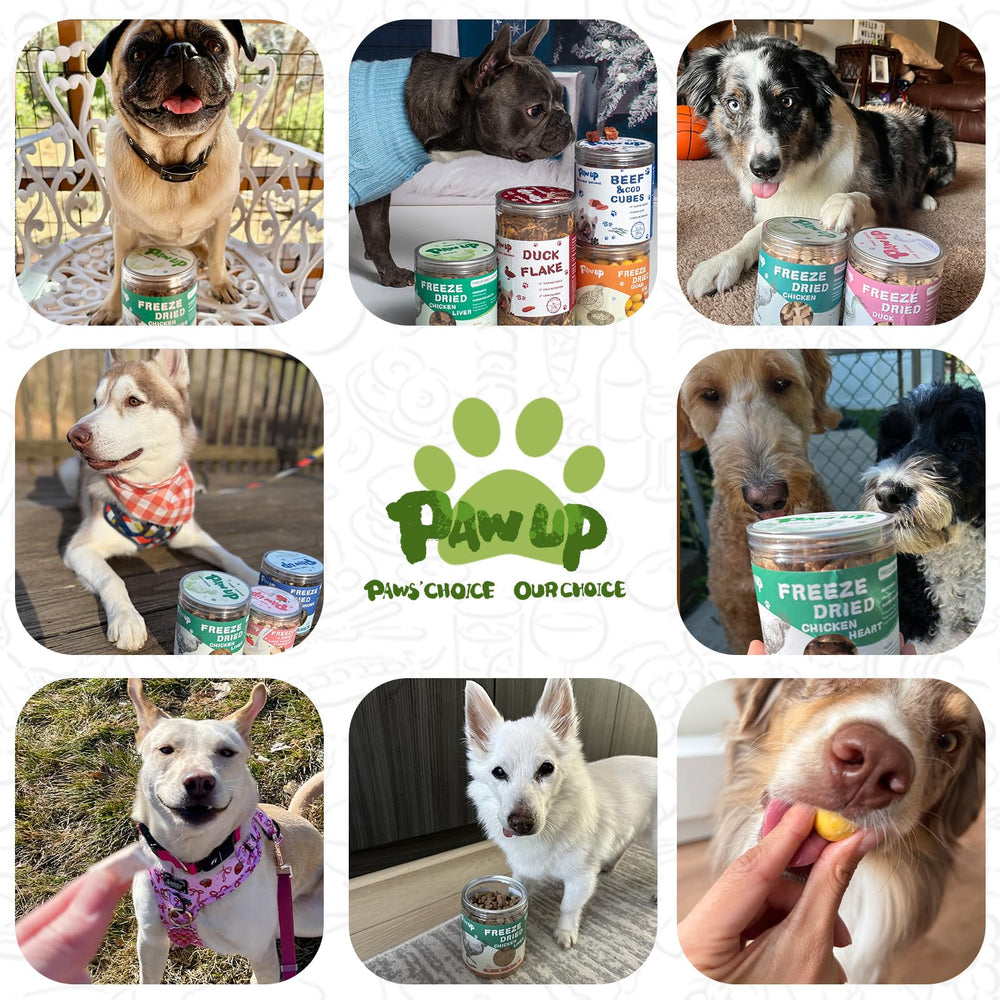 PAWUP Freeze Dried Chicken Neck Treats high-protein content illustrated by nourishing bite.