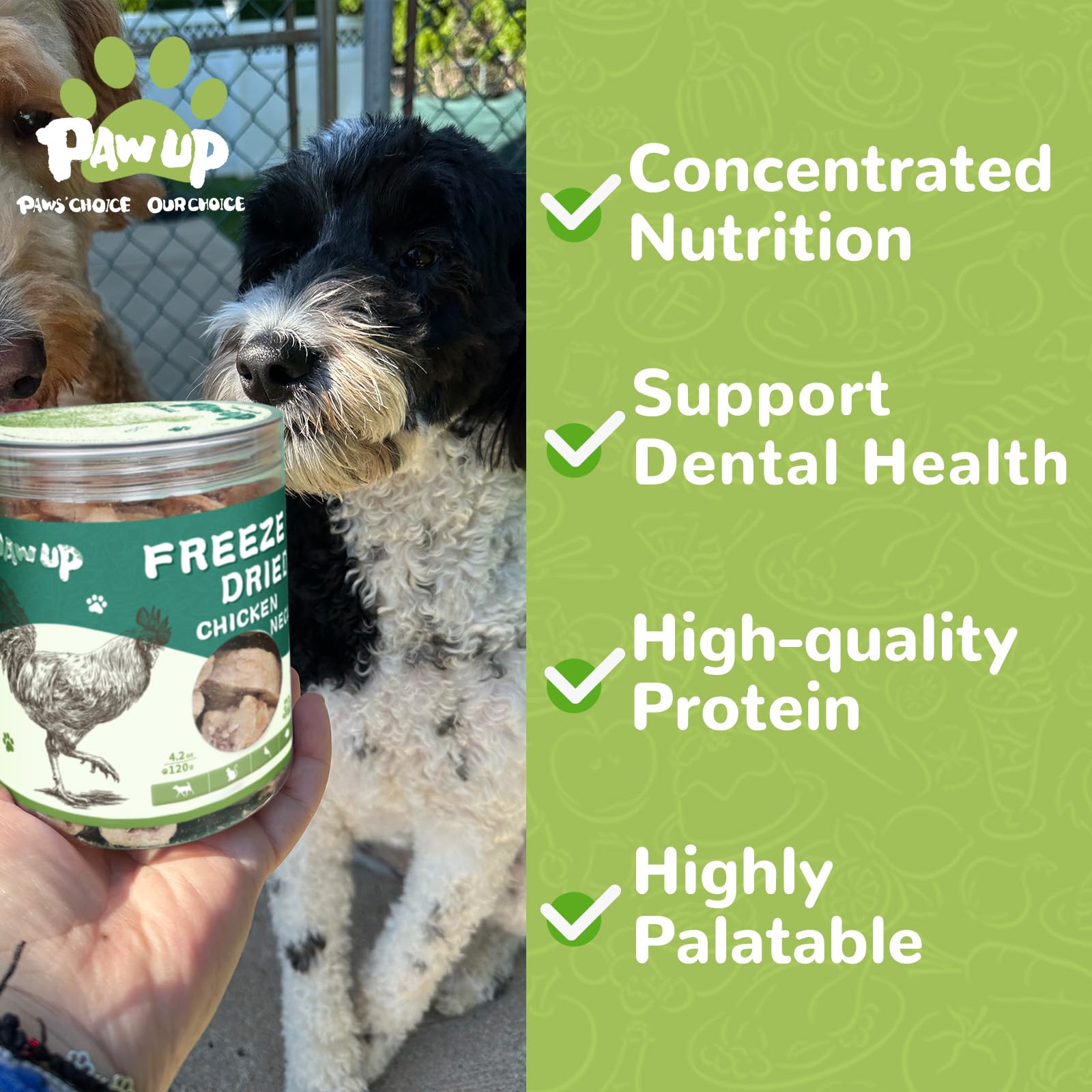 PAWUP Freeze Dried Chicken Neck Treats training shot showcases high-protein snack suitable for practice.