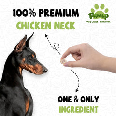PAWUP Freeze Dried Chicken Neck Treats closeup highlights crisp texture for rewarding training sessions.