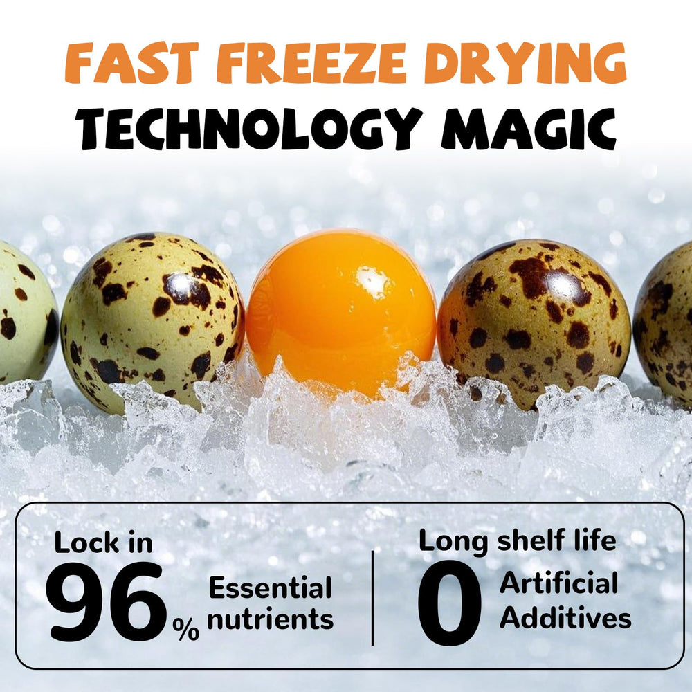 PAWUP freeze-dried yolk chunks during a training session.