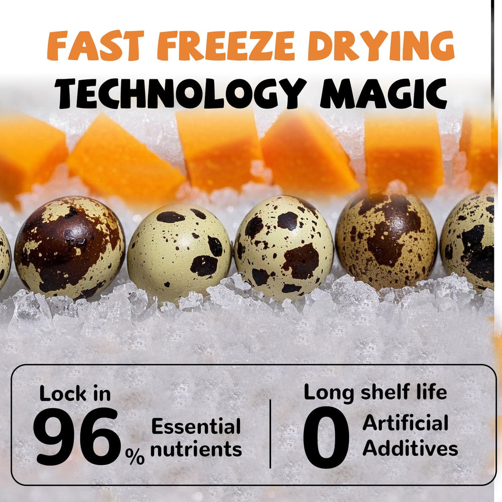 PAWUP high-protein quail egg yolk snack provides natural energy.