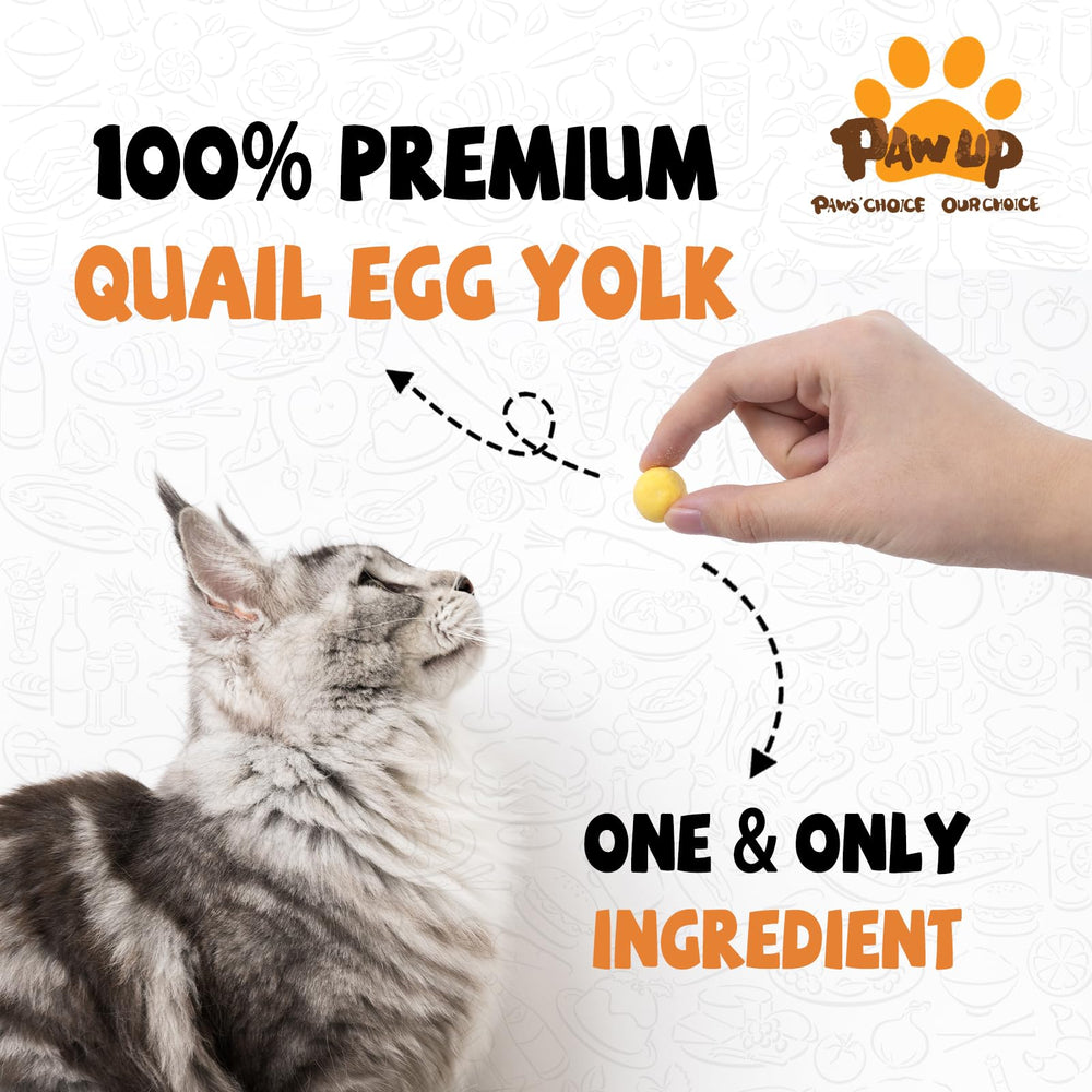 PAWUP quail egg yolk bites close-up highlight pure additive-free ingredients.