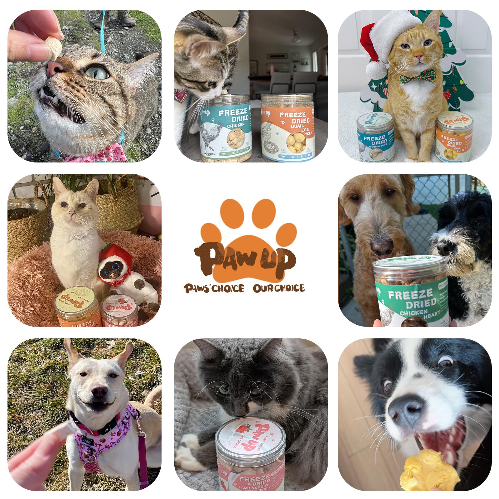 PAWUP rehydration ready pieces release aroma for enhanced appeal.