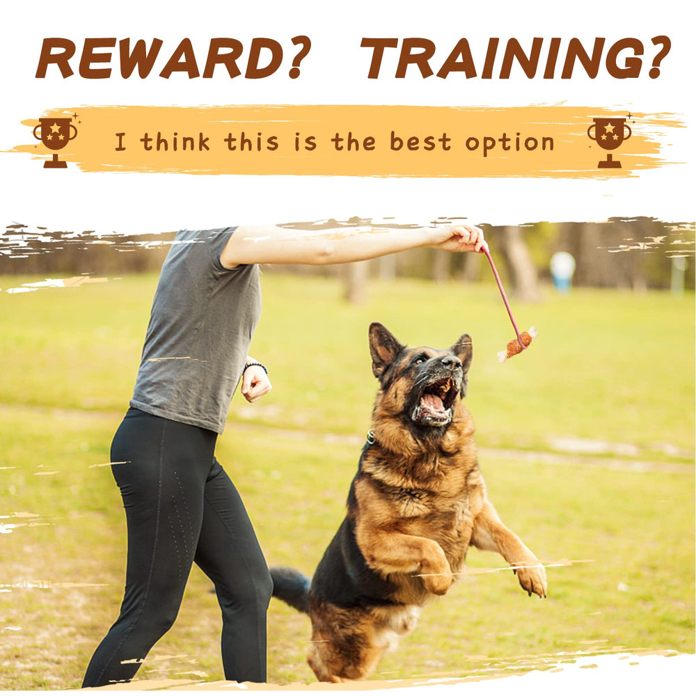 PAWUP-small-to-medium-dog-reward-chewing conveys ideal snack moments.