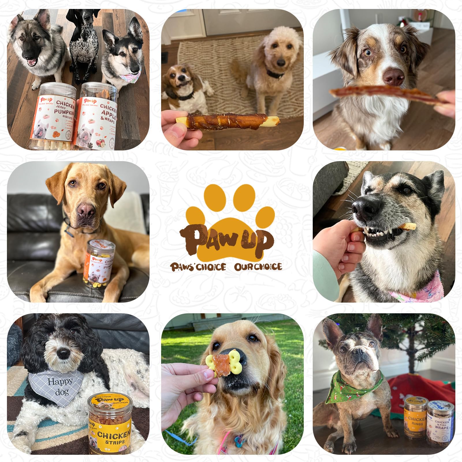 PAWUP soft chewy training treats reward good behavior in training sessions