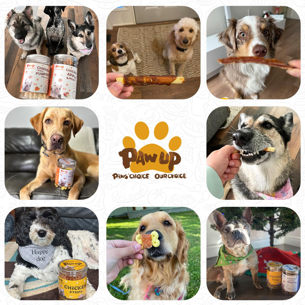 PAWUP soft chewy training treats reward good behavior in training sessions