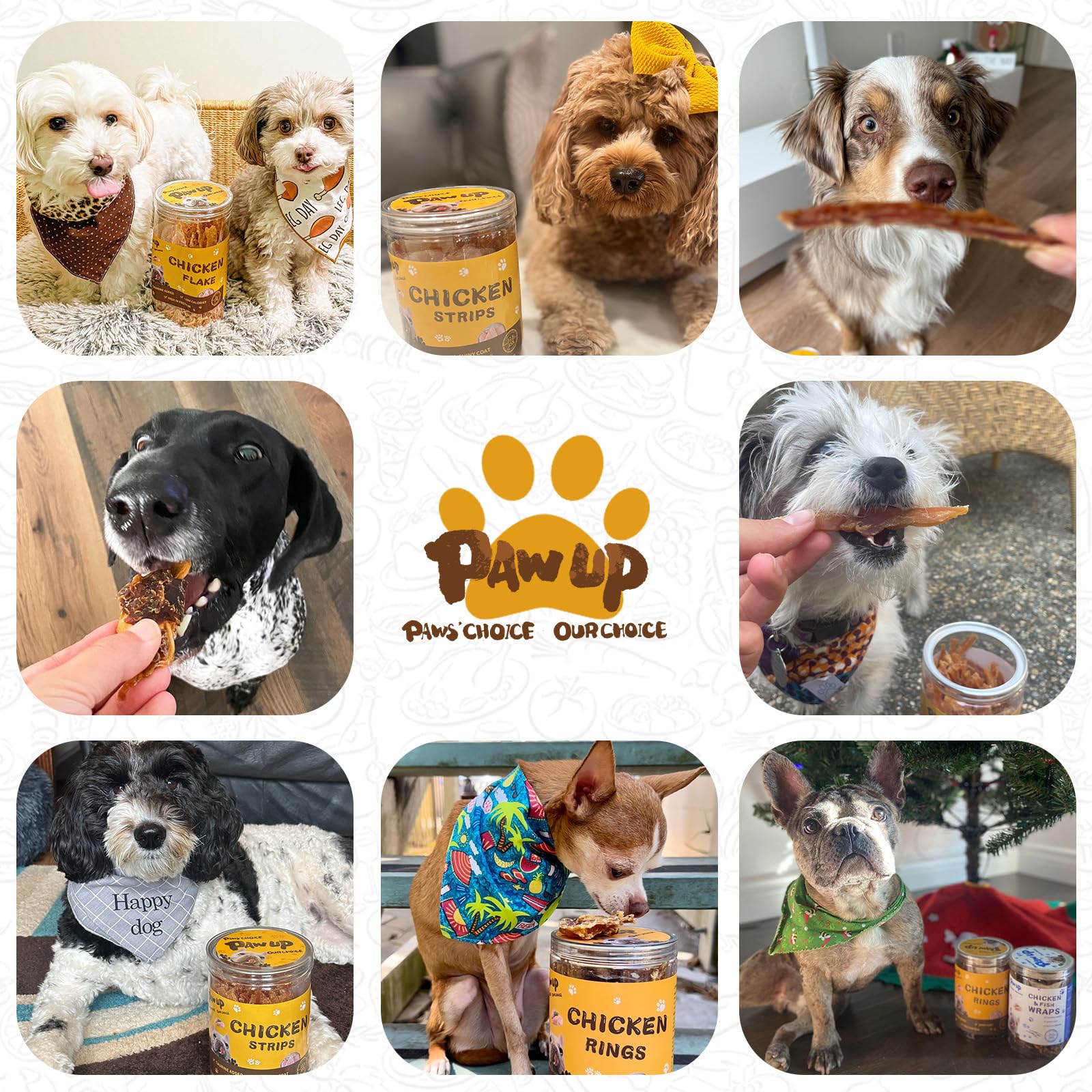 PAWUP upgraded formula doughnut designed for tummy-friendliness and easy digestion.