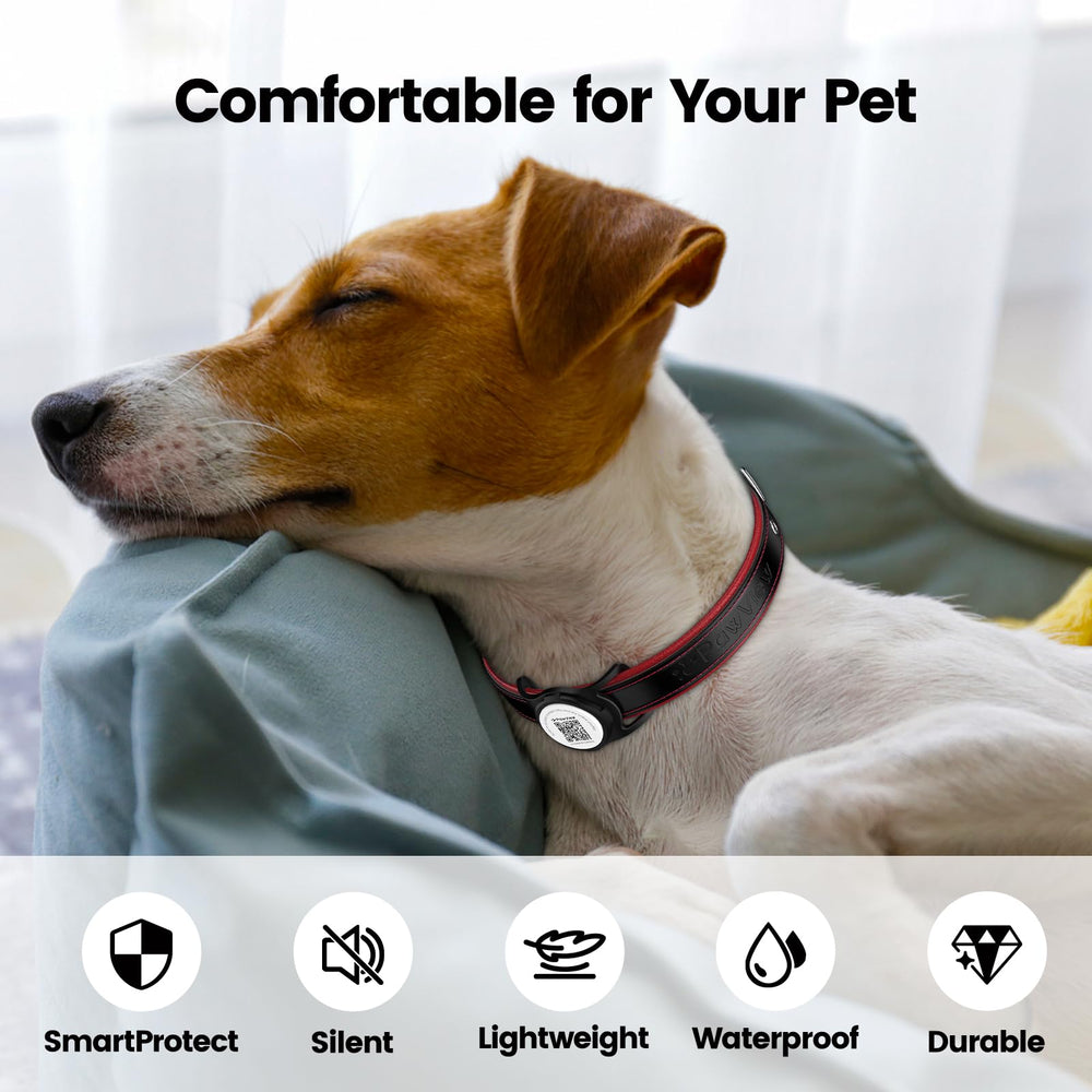 PawView long-lasting battery offers up to a year of use without frequent charging.
