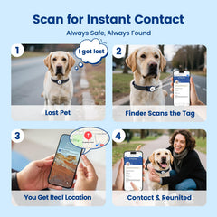PawView lost mode alerts when pet separation occurs