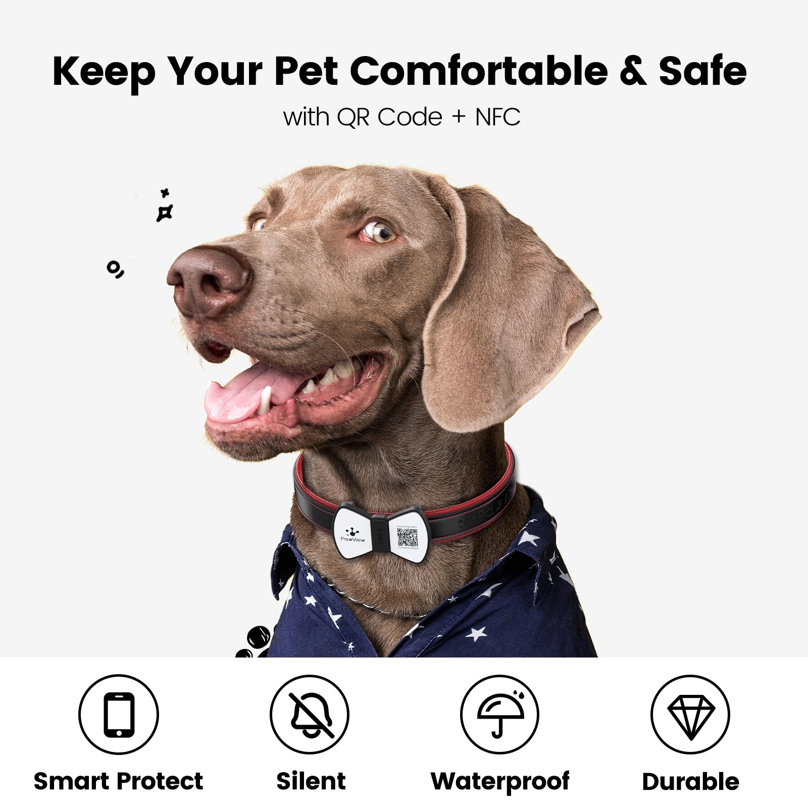 PawView pet-profile tag supports medical info and care reminders