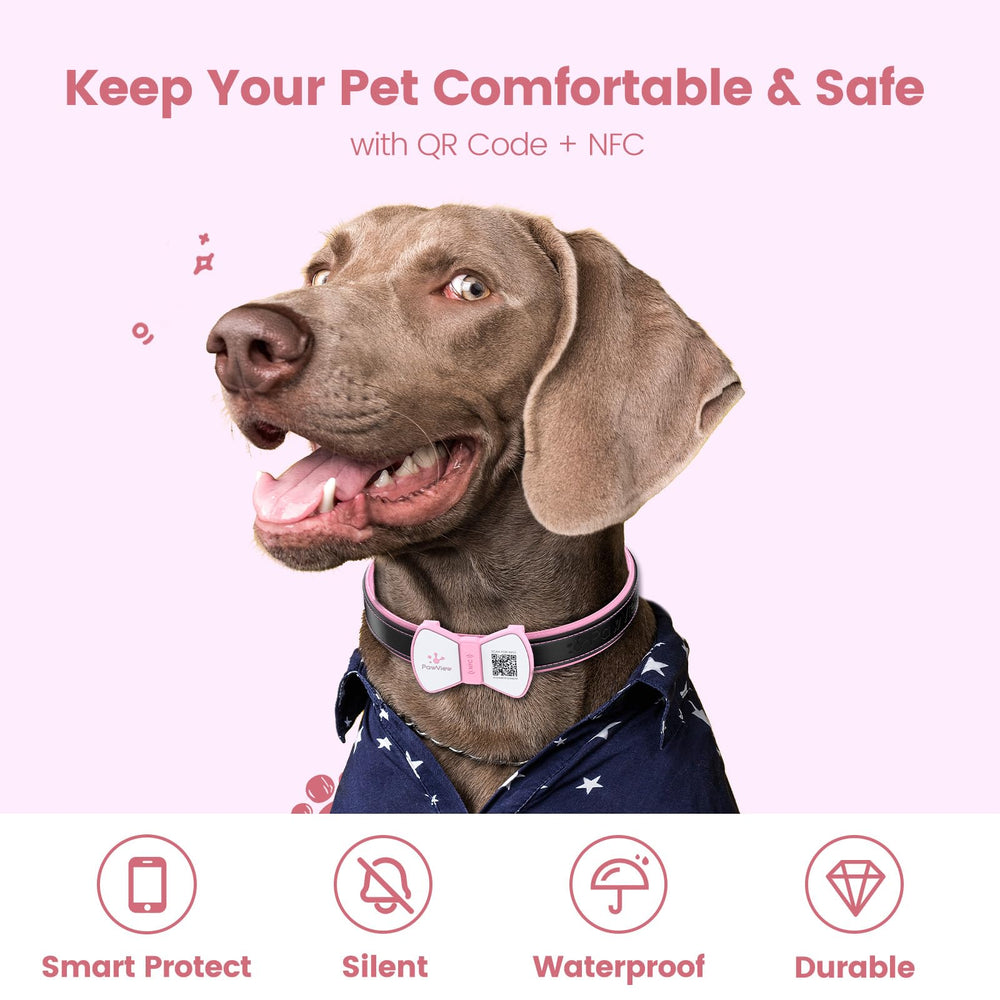 PawView pink NFC tag close-up for quick data access.