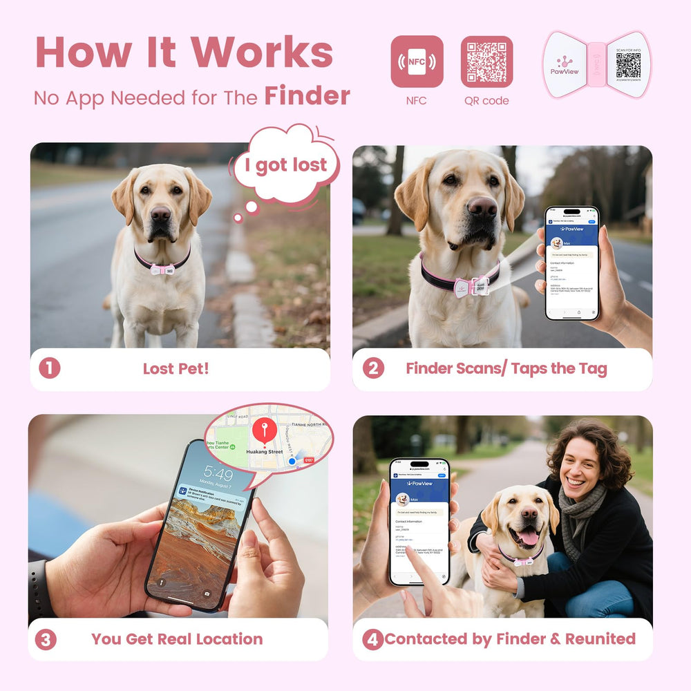 PawView pink QR code tag close-up enables instant location alerts.