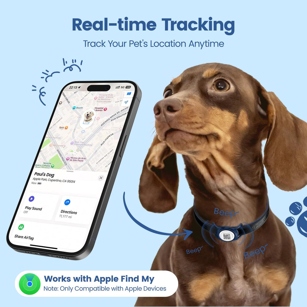 PawView real time tracking on iOS shows location anytime