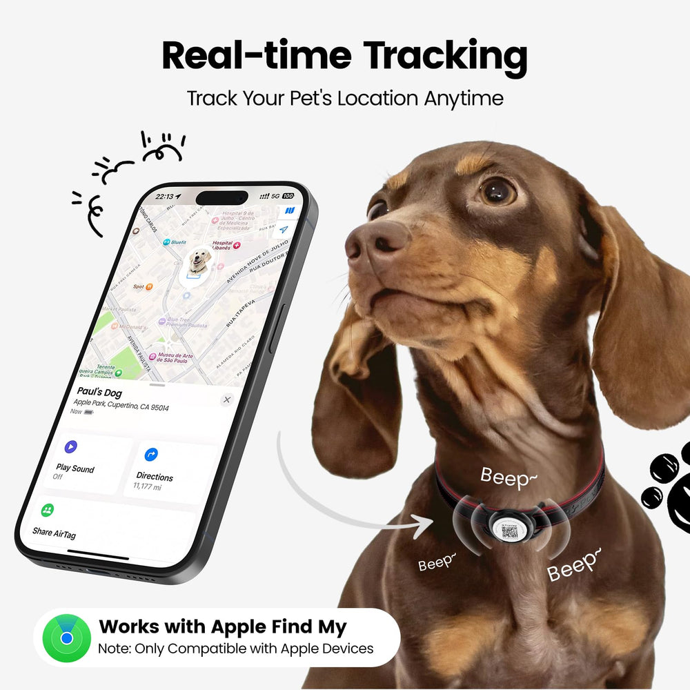 PawView real-time location tracking visible on your iPhone for instant awareness.