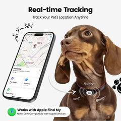 PawView real-time location tracking visible on your iPhone for instant awareness.