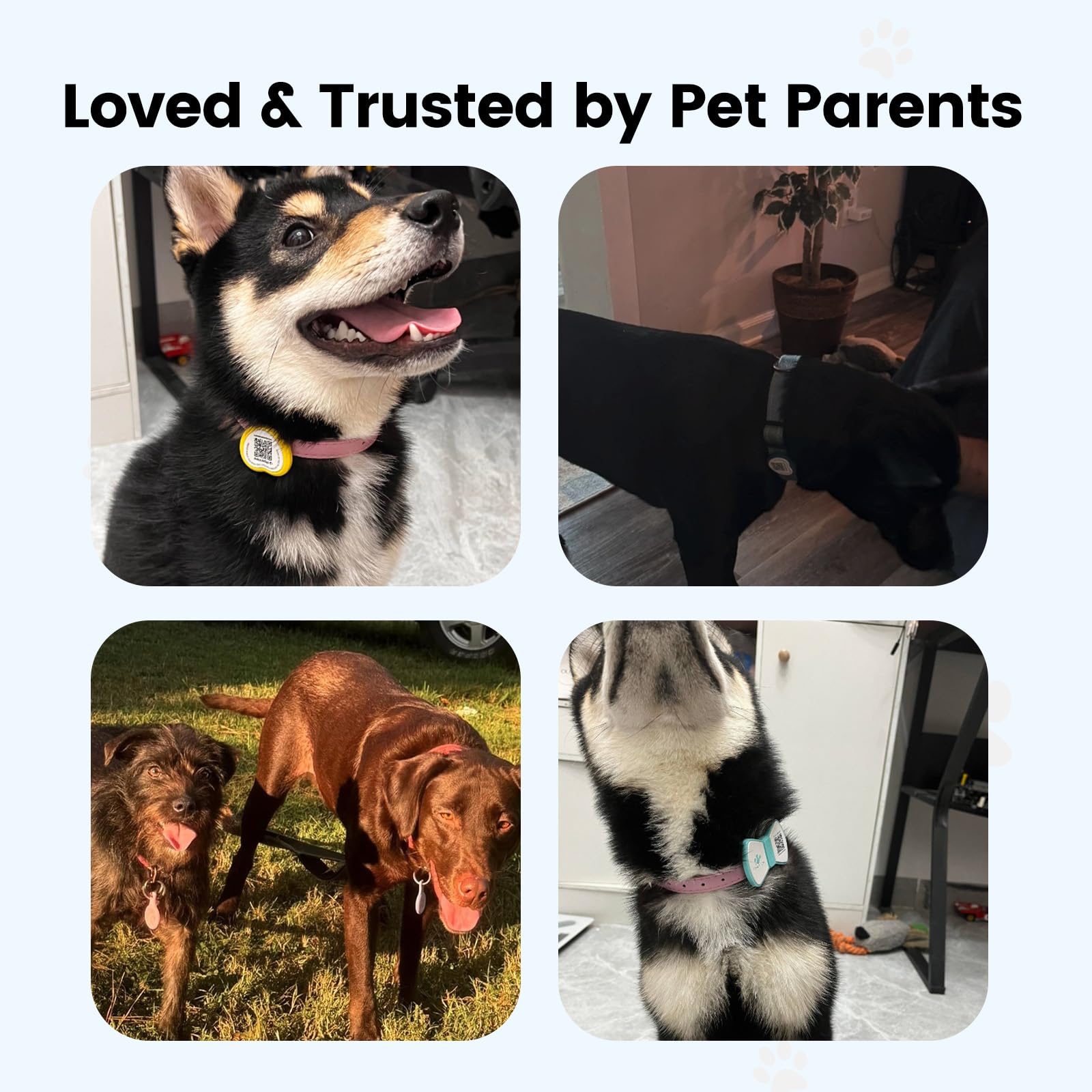 PawView reliable warranty and support backing over 100k pets.