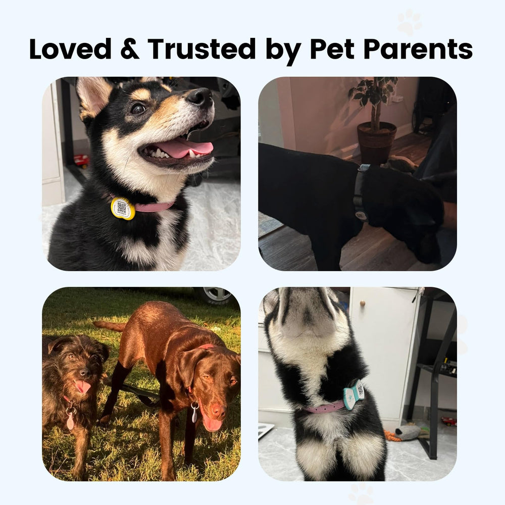PawView reliable warranty and support backing over 100k pets.