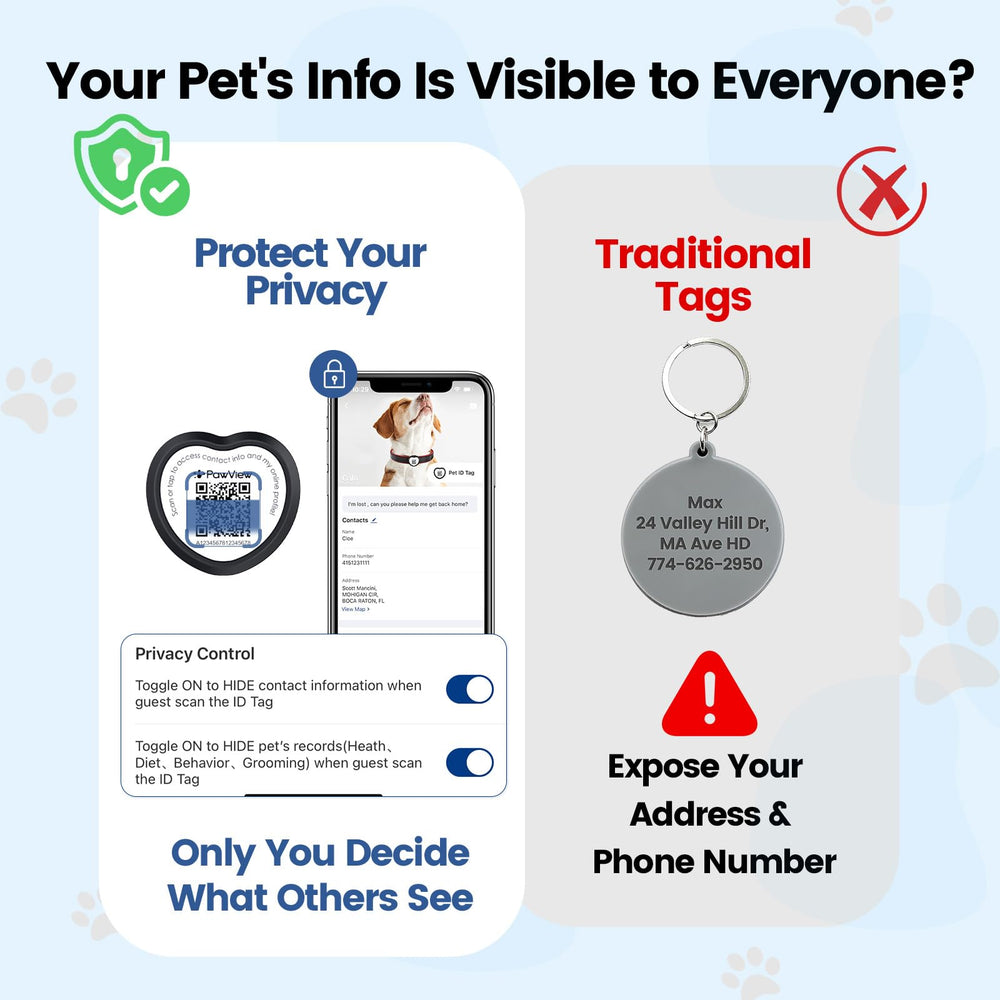 PawView slide-on tag on collar showing secure, snag-free fit.