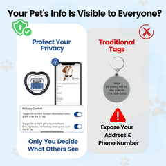 PawView slide-on tag on collar showing secure, snag-free fit.