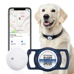 PawView smart pet tracker on blue collar enabling real time locating during walks