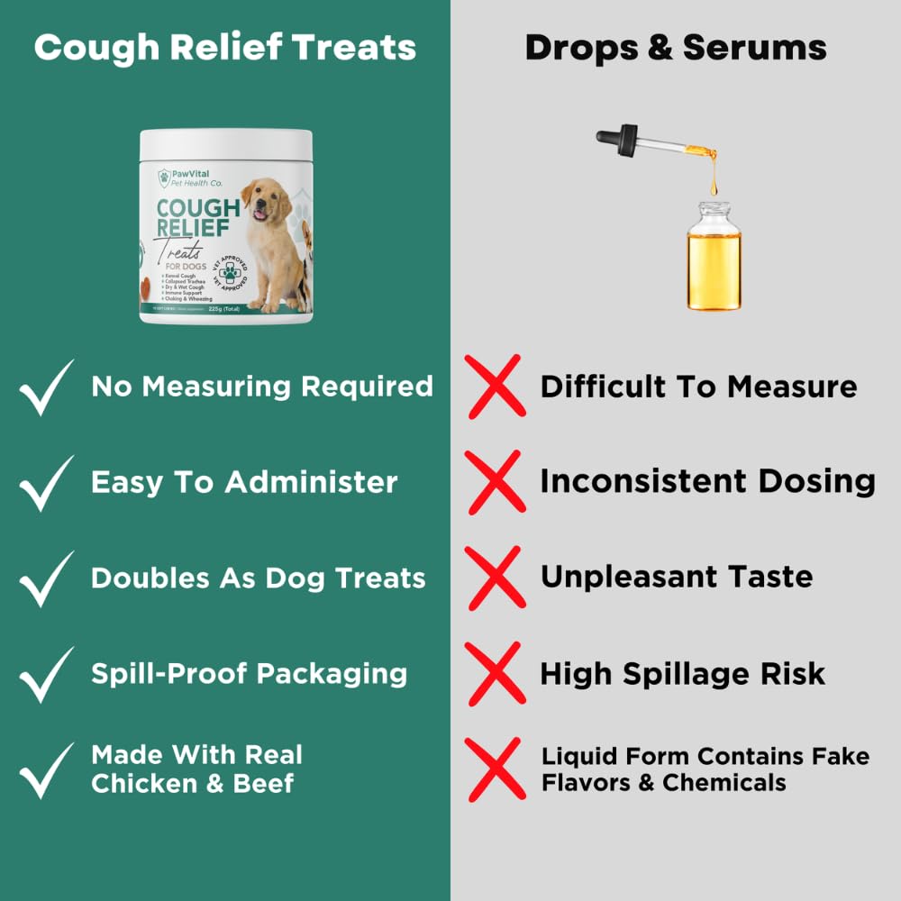 PawVital mess-free design image highlights no spill or strong odor during use.