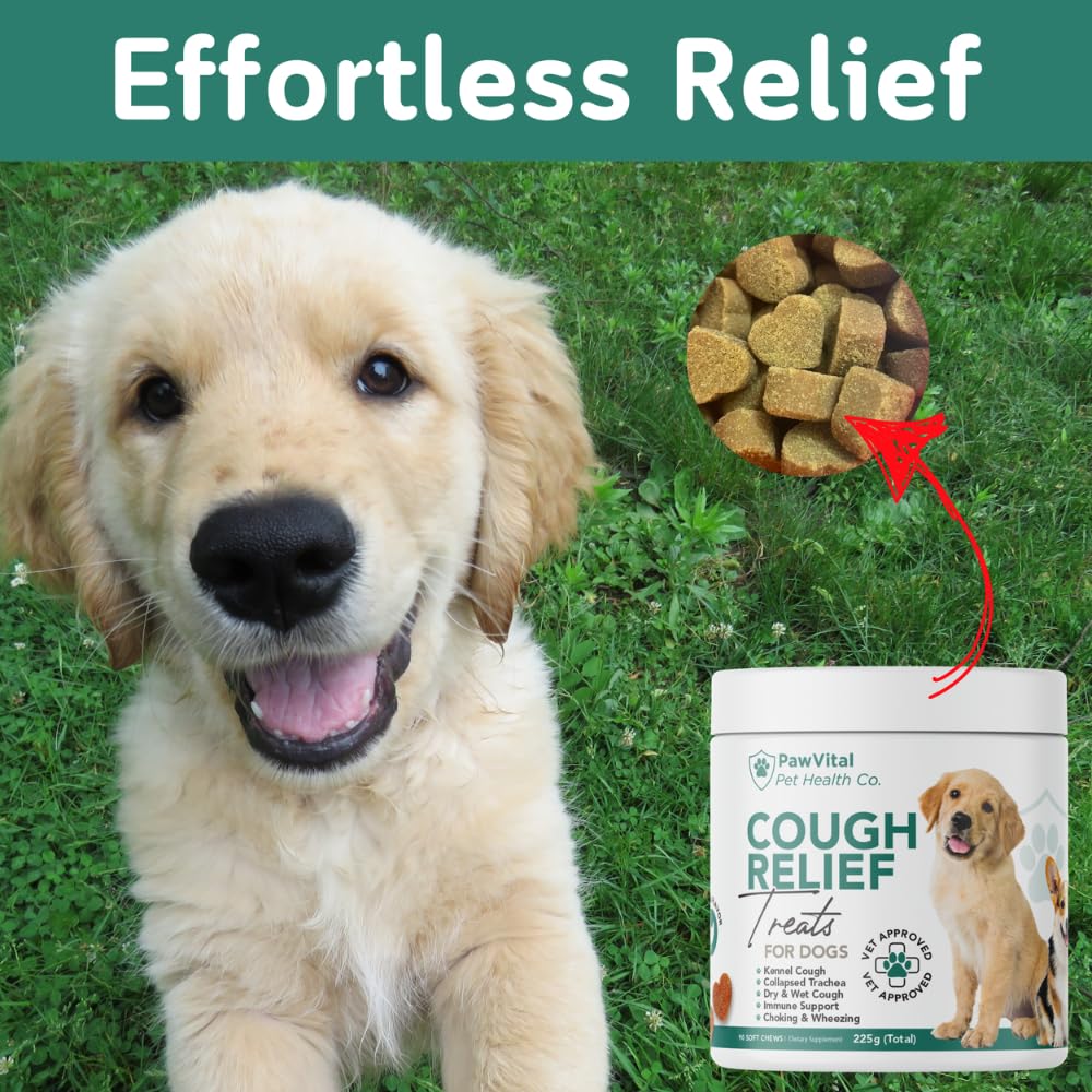 PawVital packaging and serving suggestions help owners manage routine care.