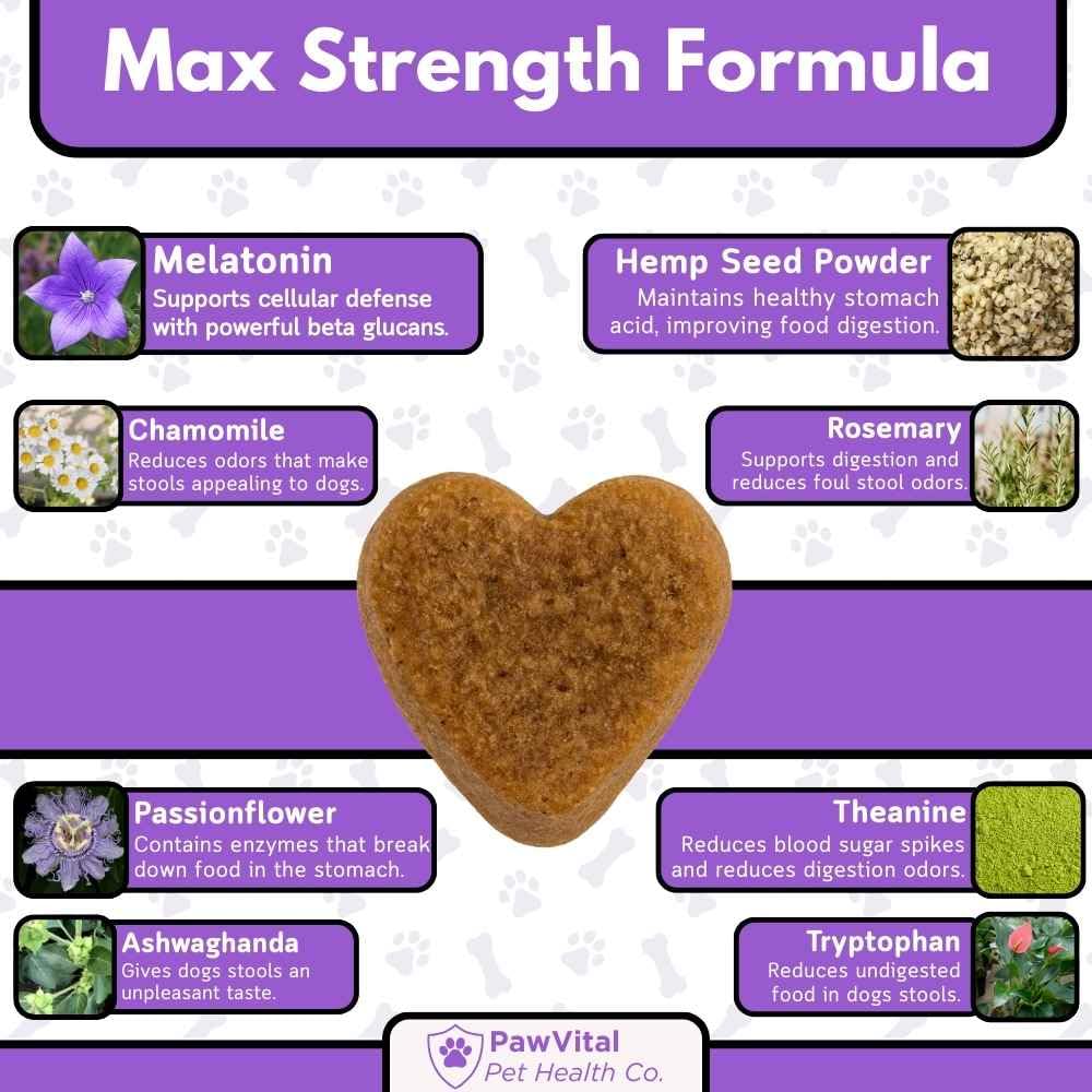 PawVital ingredients chamomile valerian ashwagandha l-tryptophan for balanced mood in dogs.