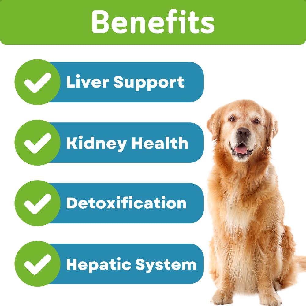 PawVital Milk Thistle Chews packaged box – ready-to-use liver and kidney support.