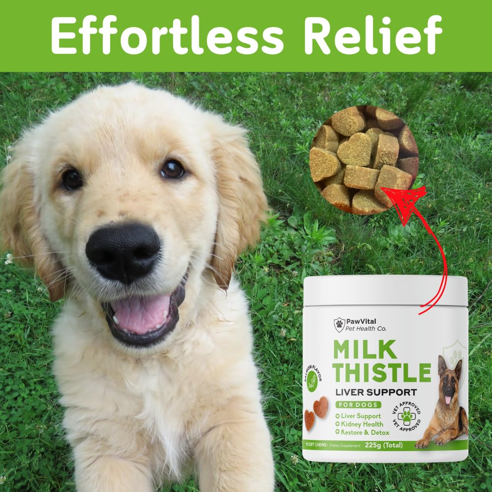 PawVital Milk Thistle Chews serving dish – convenient daily serving for consistent dosing.