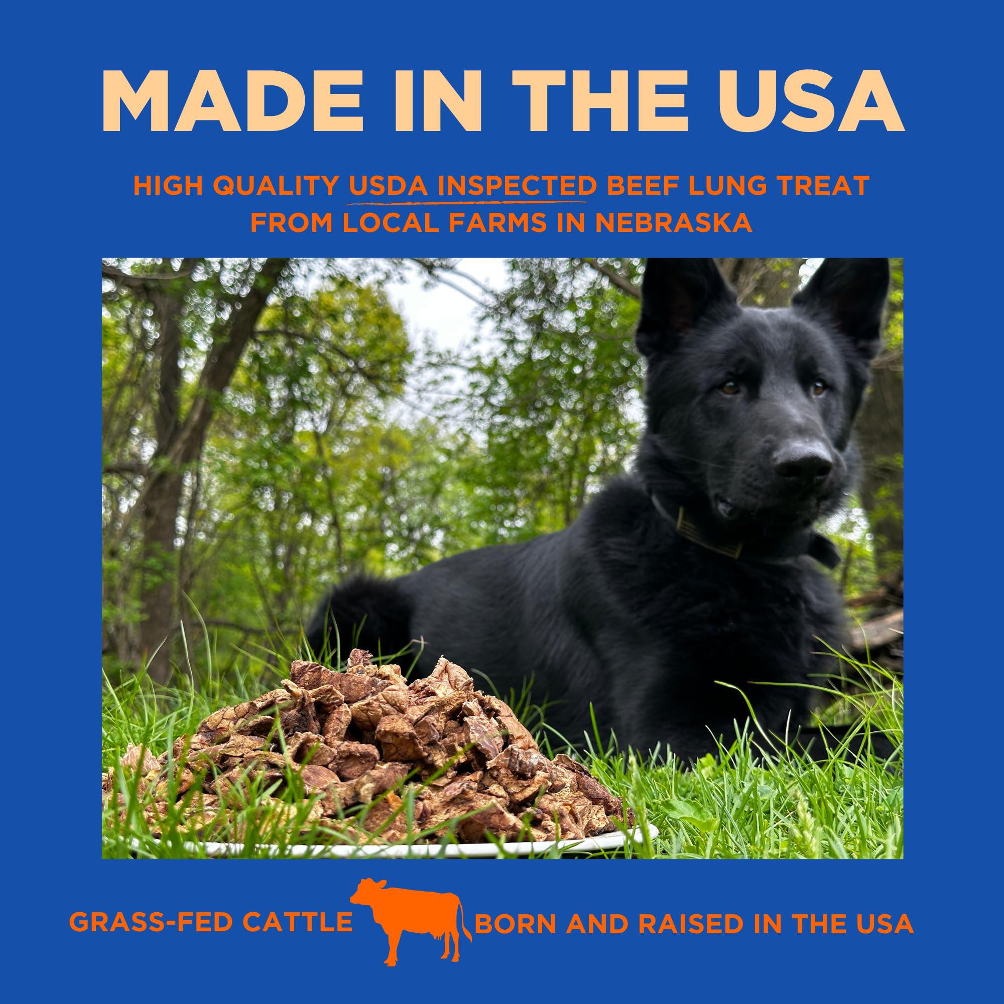 PAWW CHEW beef lung texture reveals crisp, digestible chew for routines.