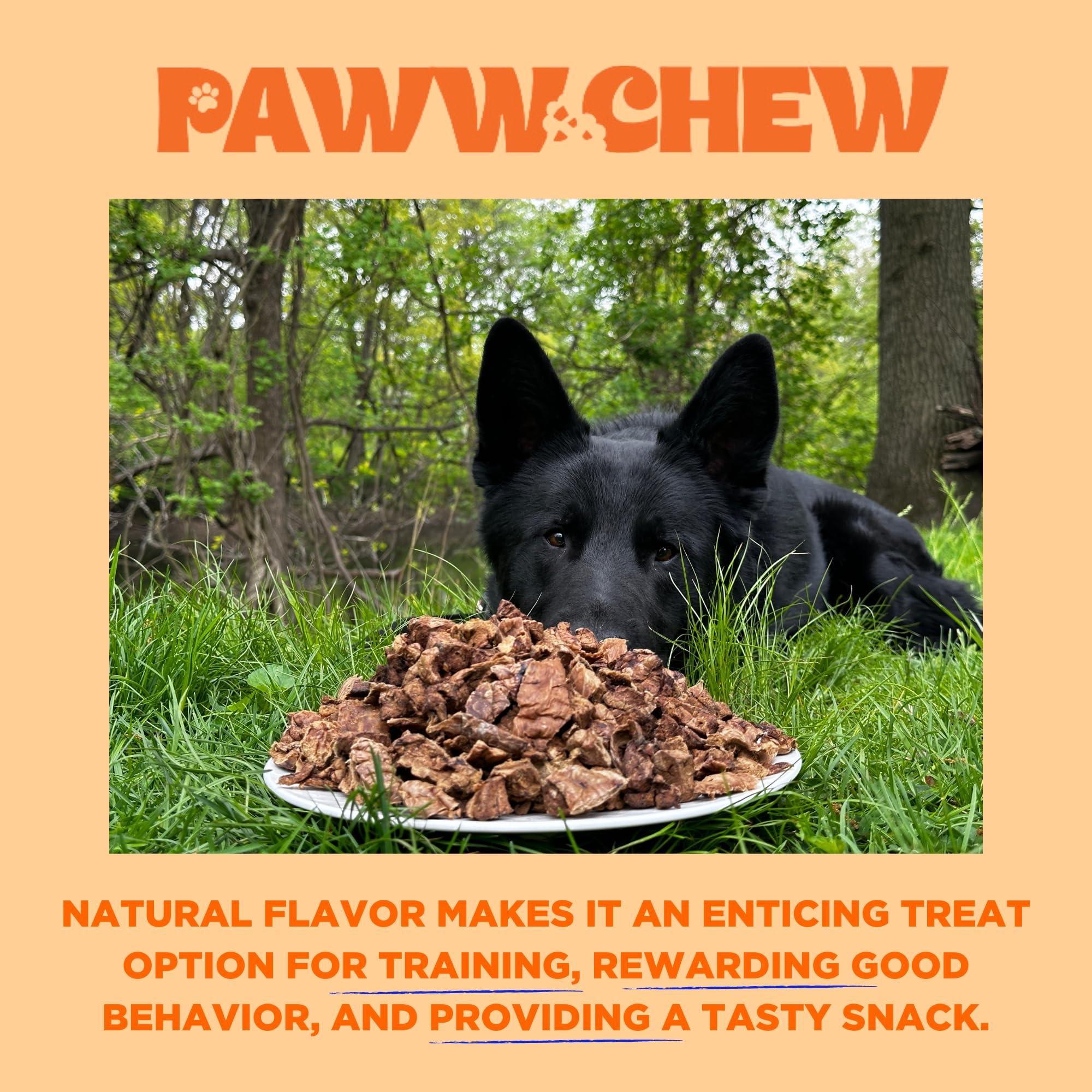 PAWW CHEW training-treat in action offers a high-protein reward for training.
