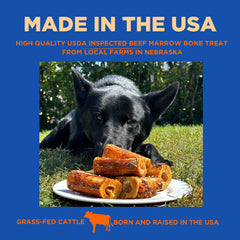 PAWW CHEW dog chewing on bone demonstrates engagement and dental-hygiene potential