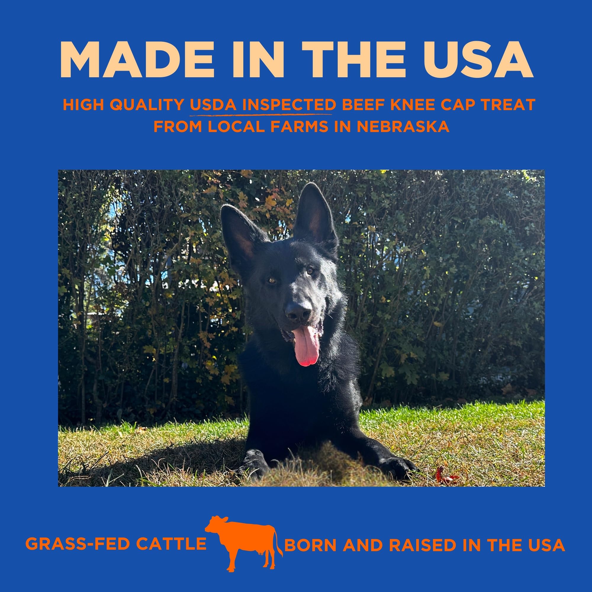 PAWW CHEW grass-fed beef knee caps image shows natural, nutrient-dense chew
